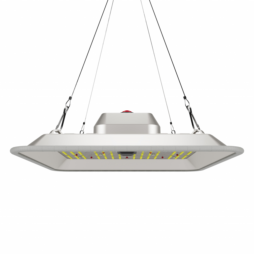 LED GC Pure 80W